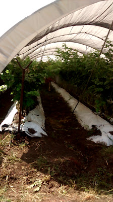 Jardín De Eventos "zamarat"